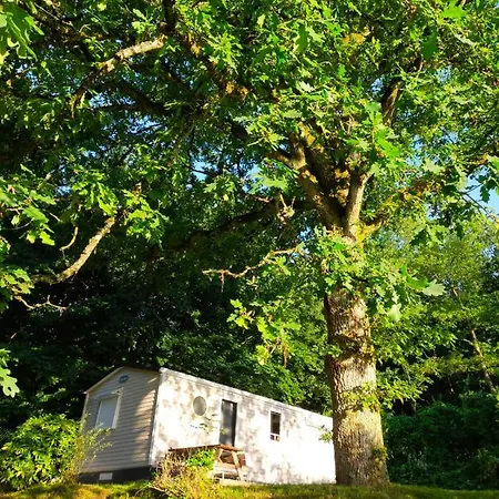 Verblijfpark Ardinam Kemp *