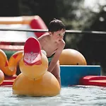 Verblijfpark Ardinam Kamp alanı